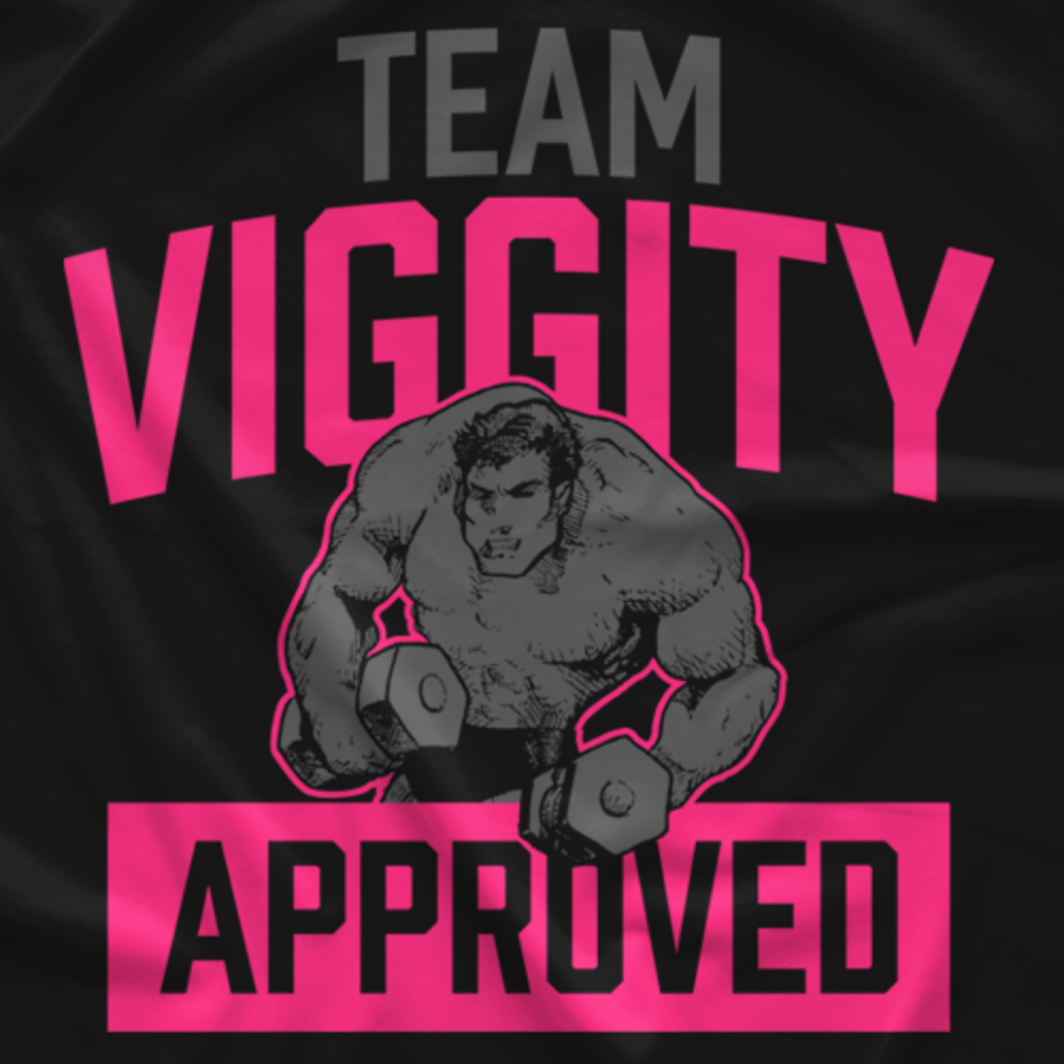 Team Viggity Approved