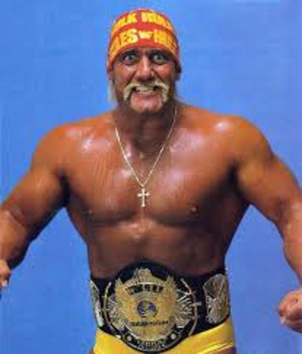 Hulk Hogan 2.jpg