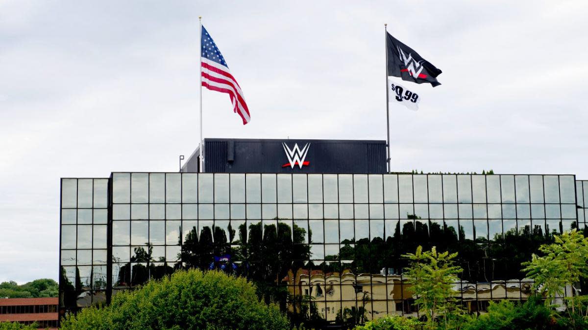 Image result for WWE financial