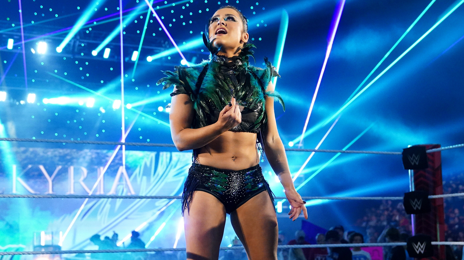 Lyra Valkyria parece alzar el vuelo