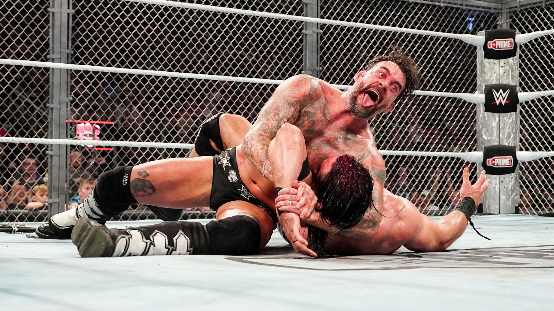 CM Punk
