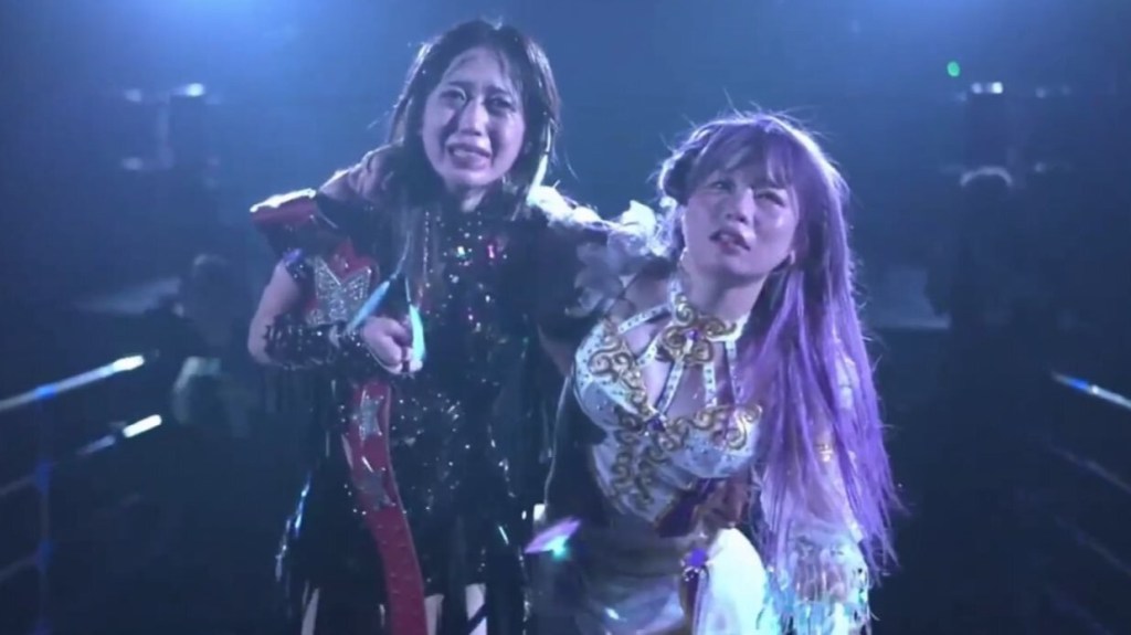 May 5, 2025 Observer Newsletter: Mexican wrestling political