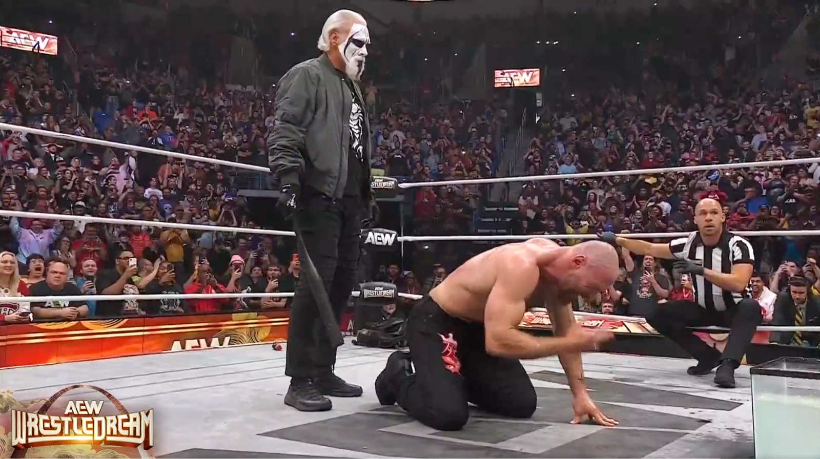 Sting Wrestledream