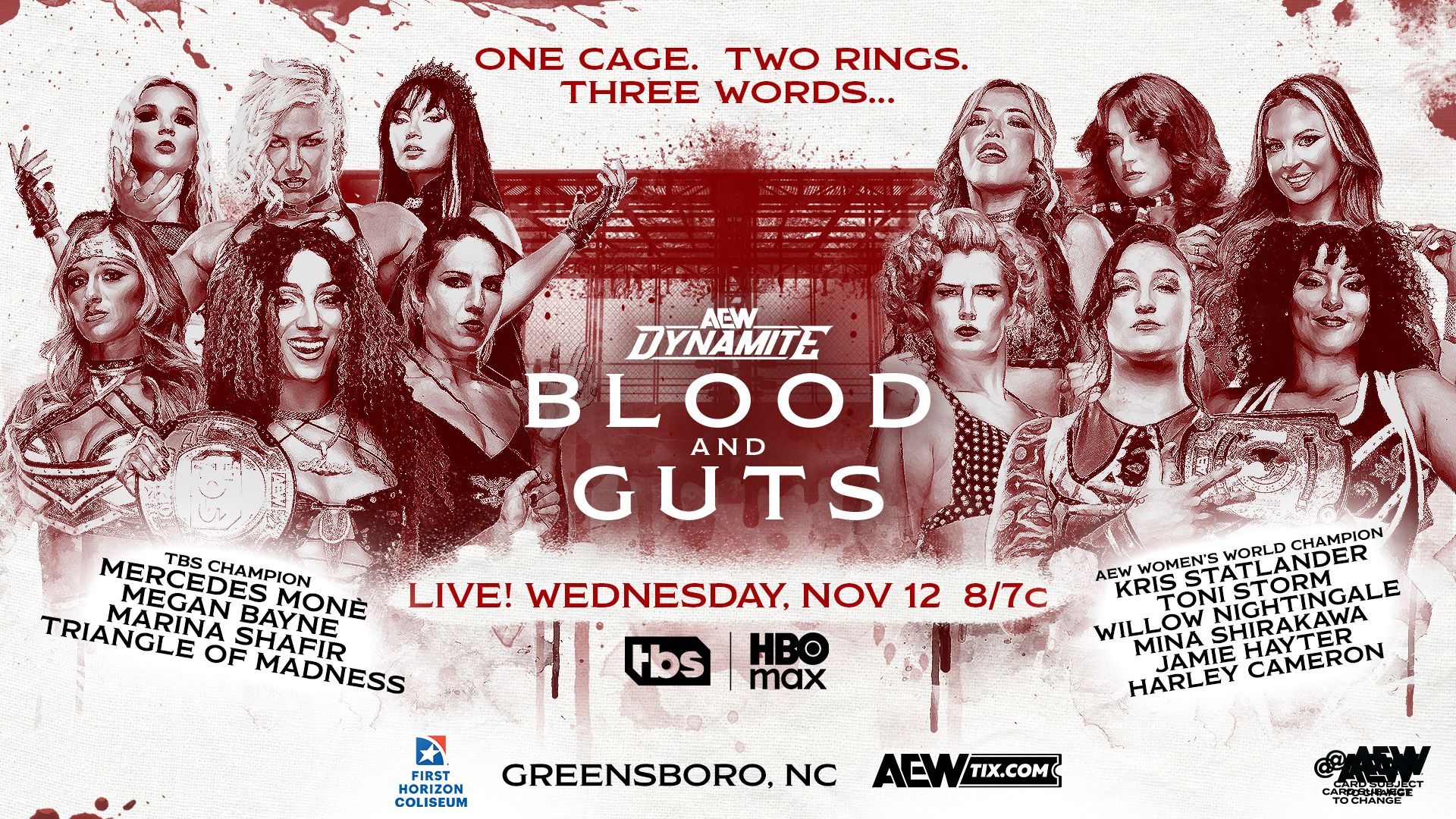 https://www.f4wonline.com/wp-content/uploads/2025/11/AEW-Dynamite-Womens-Blood-and-Guts-Match.jpg