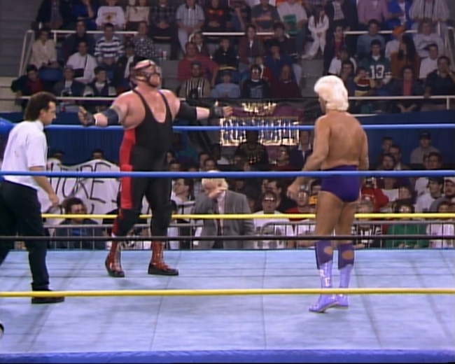Vader vs. Flair