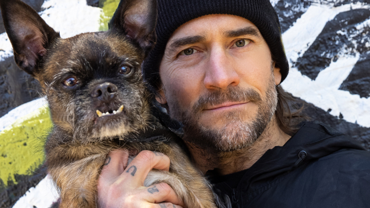 CM Punk, PAWS Chicago partner for fundraising campaign honoring Larry