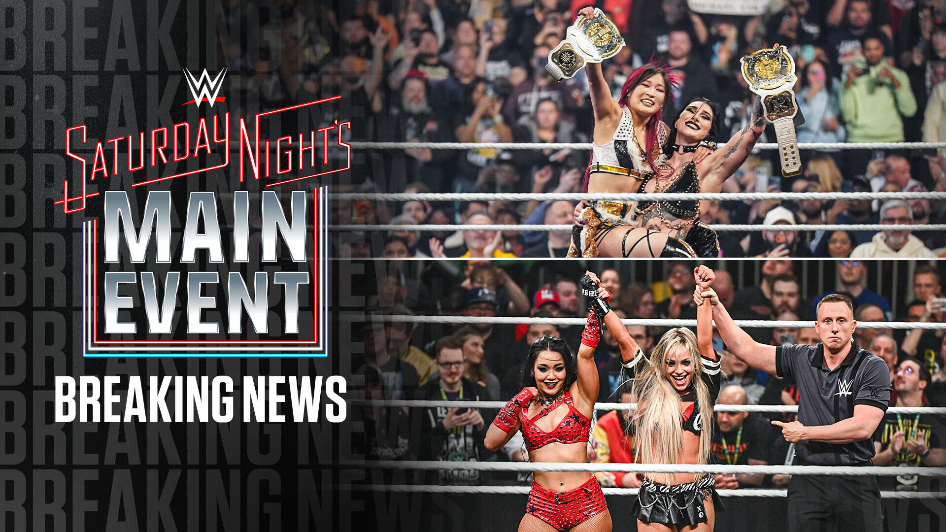 WWE SNME Montreal Womens Tag Title Match