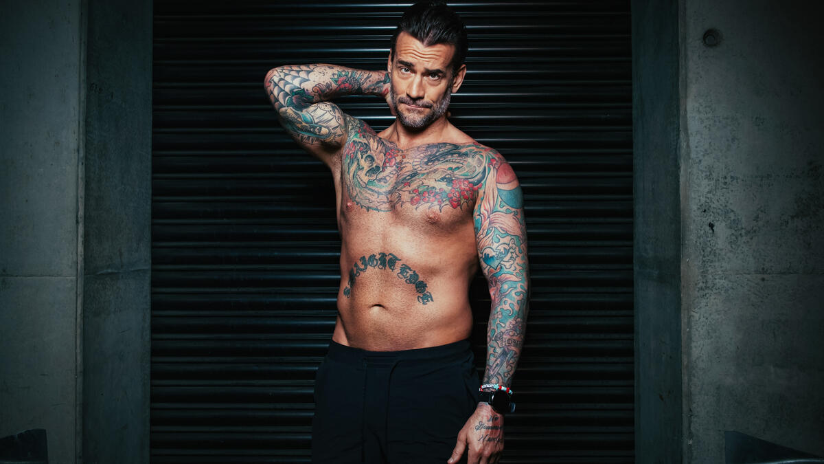 CM Punk posts risque photo with WWE title belts following Elimination Chamber