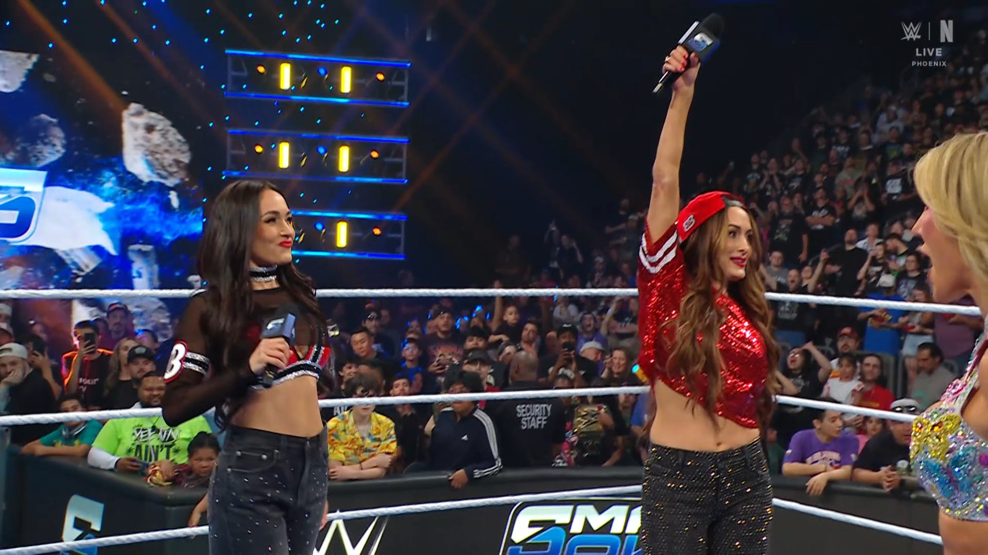 Bella Twins return