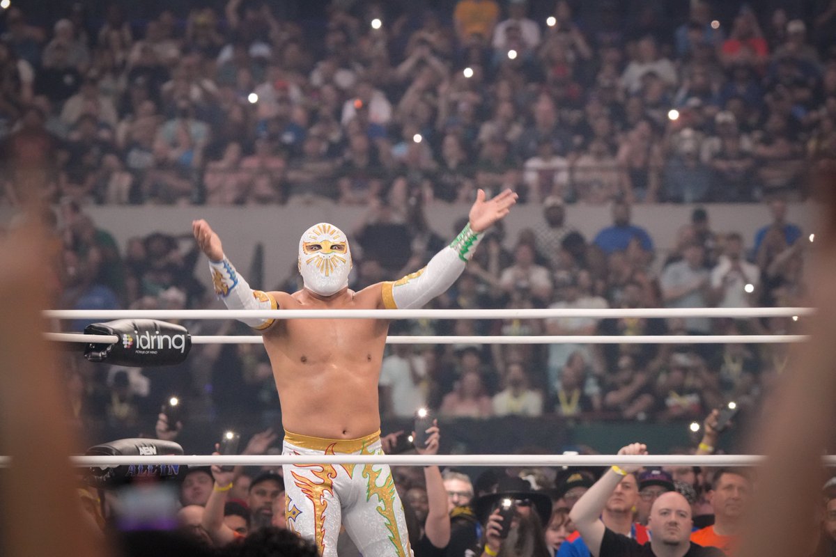 Top 10: Potential in Professional Wrestling