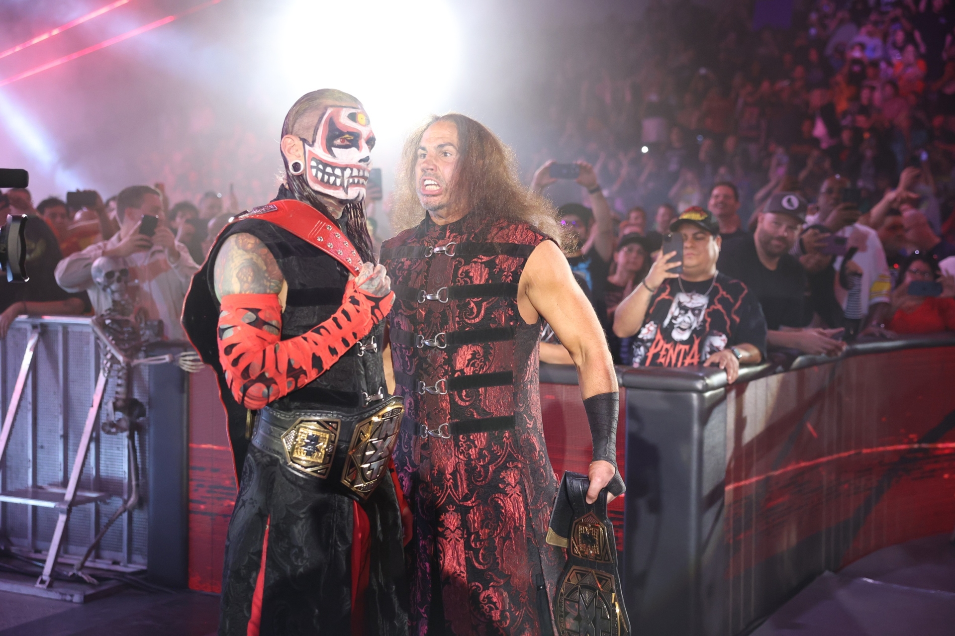 Jeff and Matt Hardy in TNA