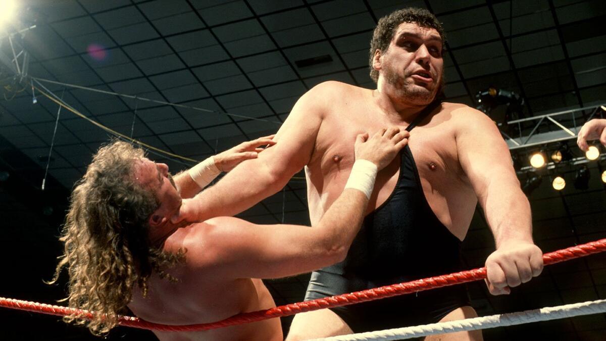 Andre the Giant WWF