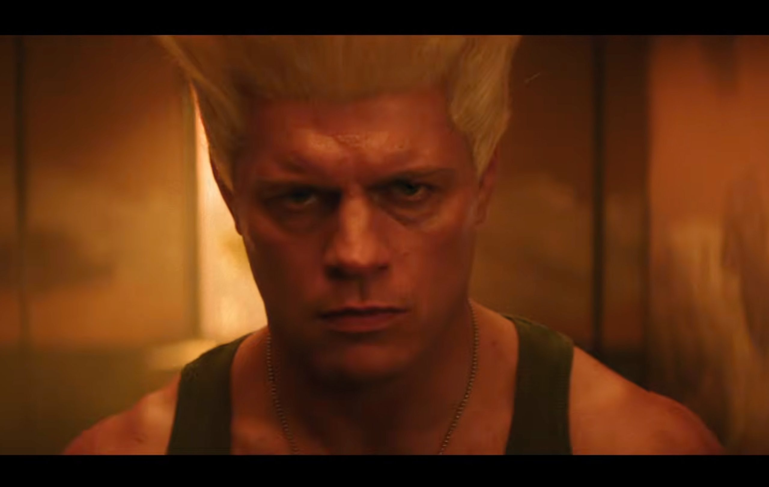 Cody Rhodes Guile Street Fighter.
