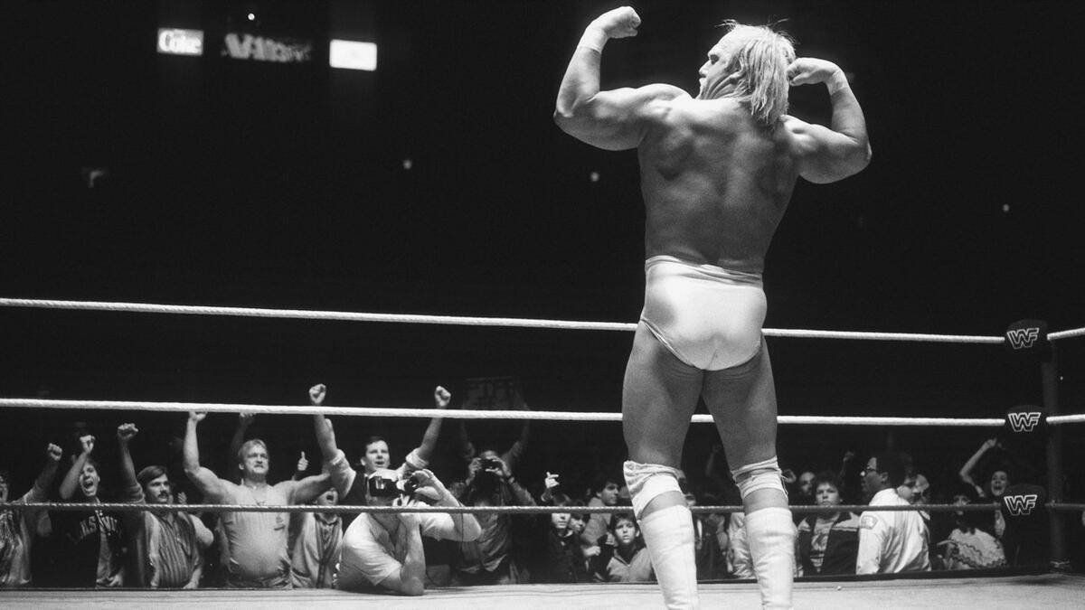 Hulk Hogan WWE