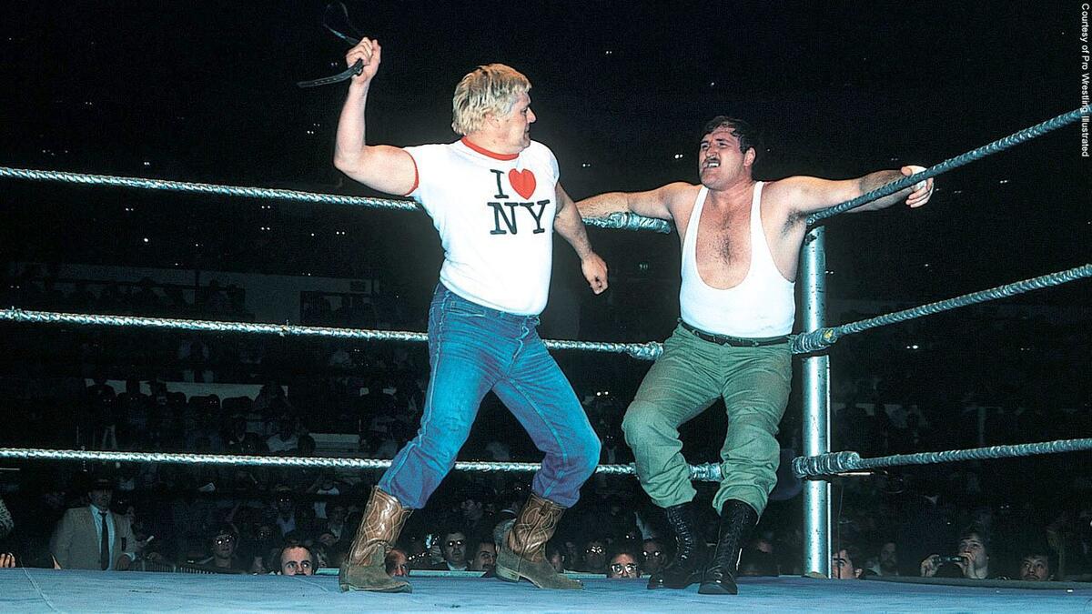 Sgt. Slaughter Pat Patterson Alley Fight