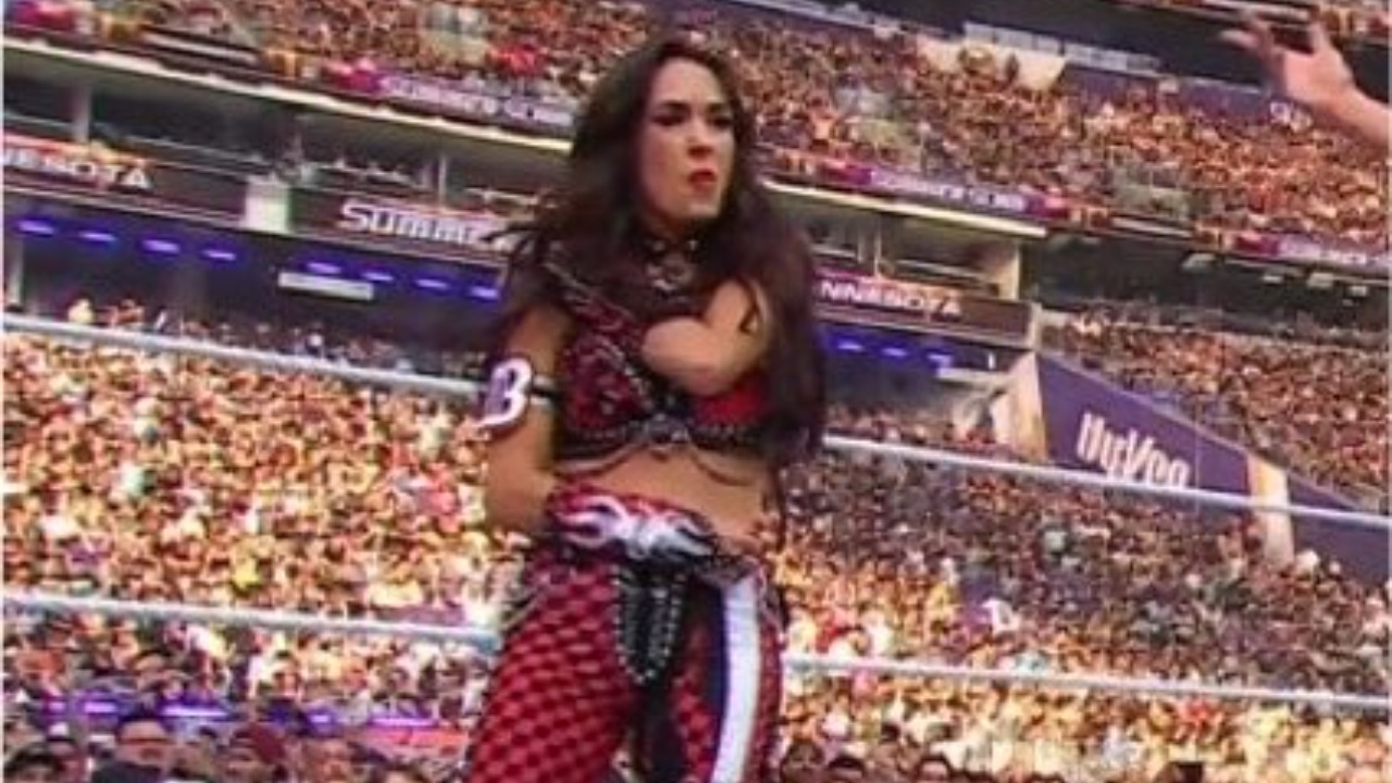 Brie Bella possibly injured during WWE SummerSlam